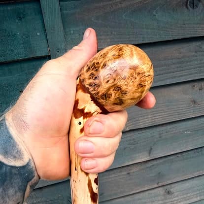 The Burl Crown