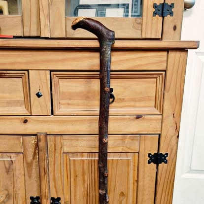 The Blackthorn L-Shaped Stick