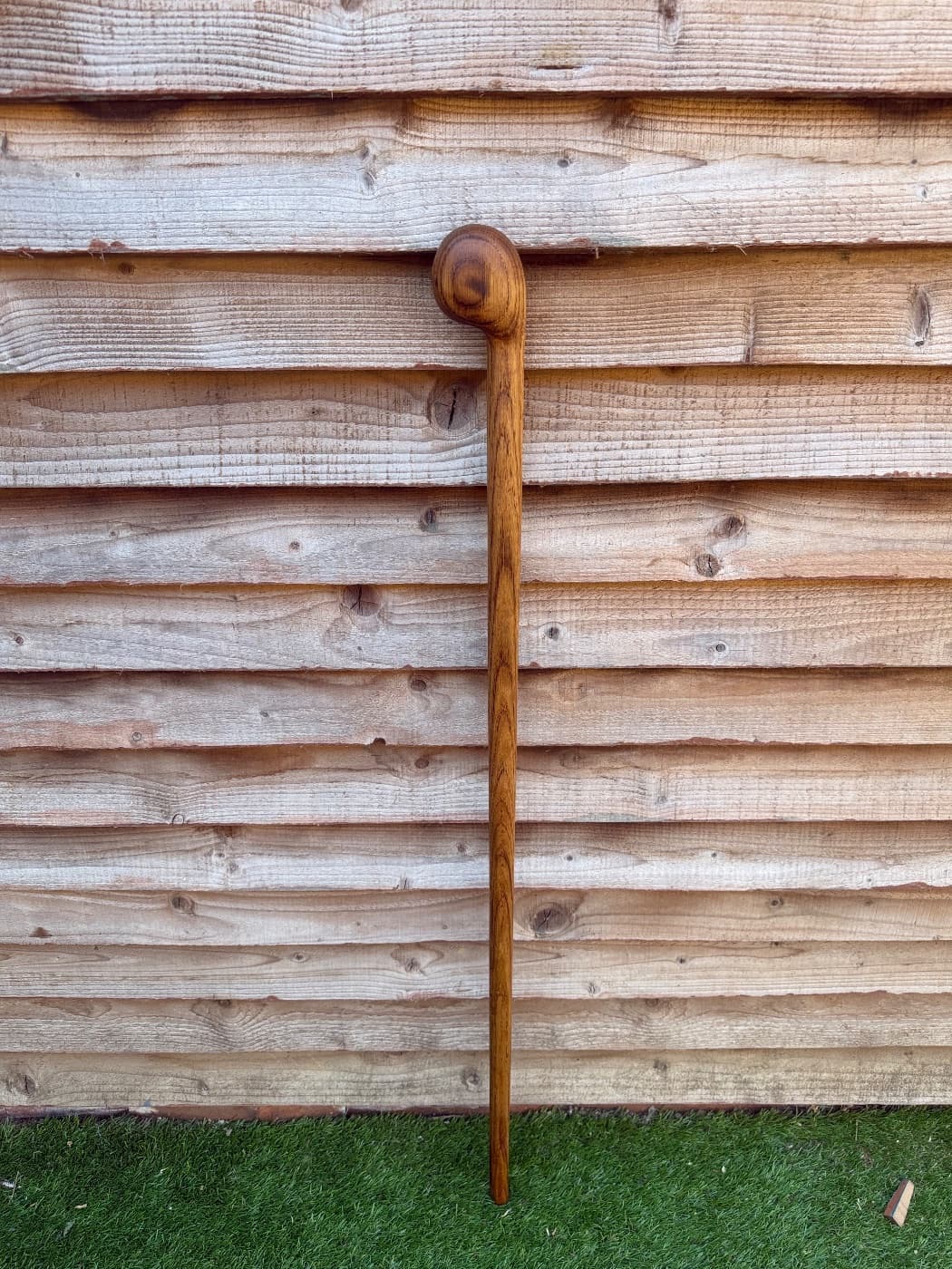 Oak Shillelagh