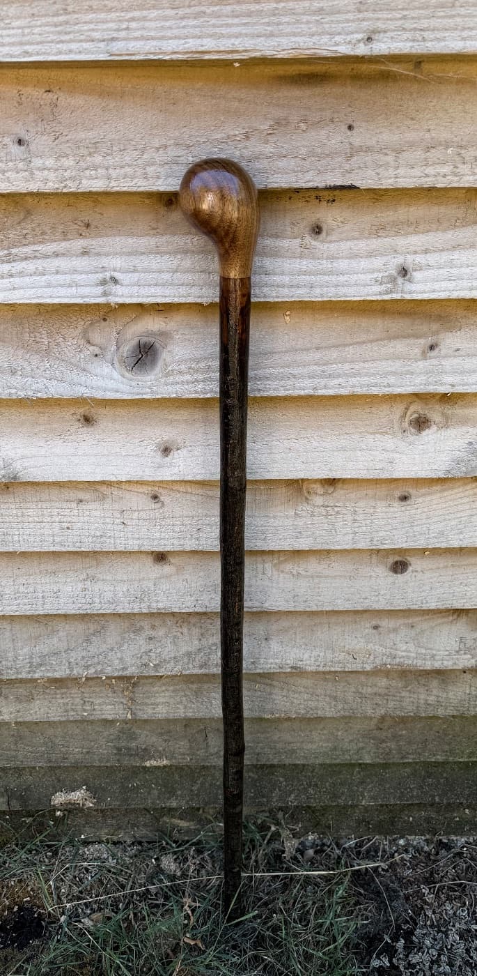 Sweet Chestnut and Black Walnut Topper