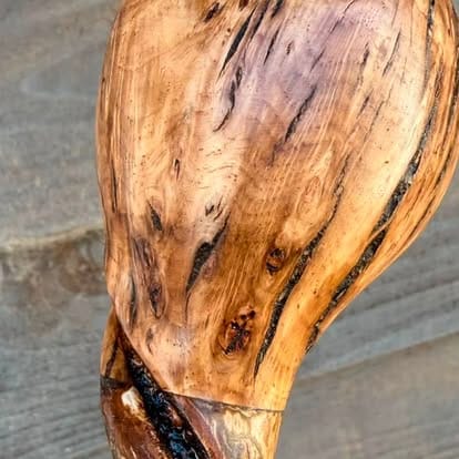 The carved twisty oak  Burl